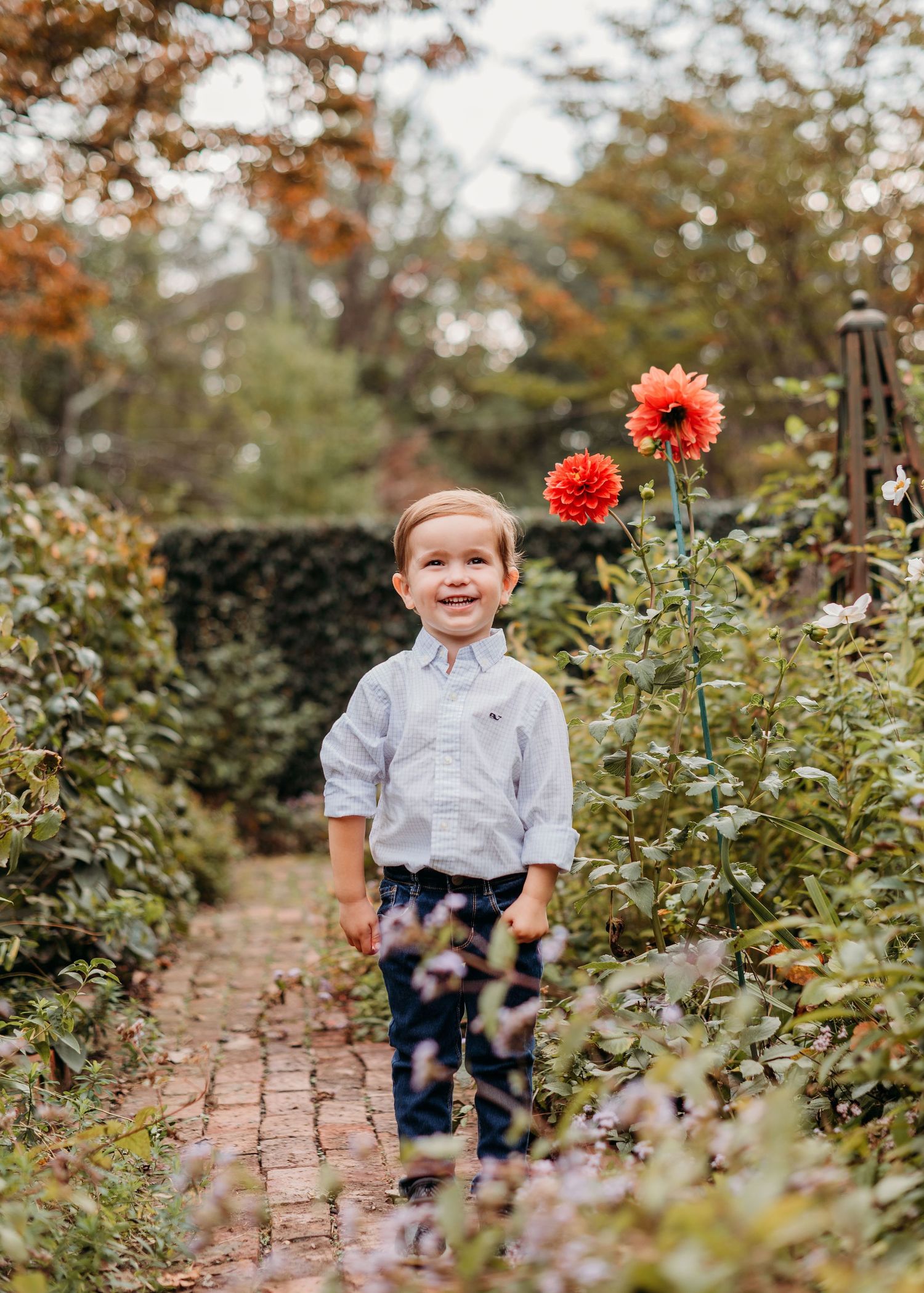 A young child stands smiling on a brick garden path with vibrant red dahlias blooming in the background.