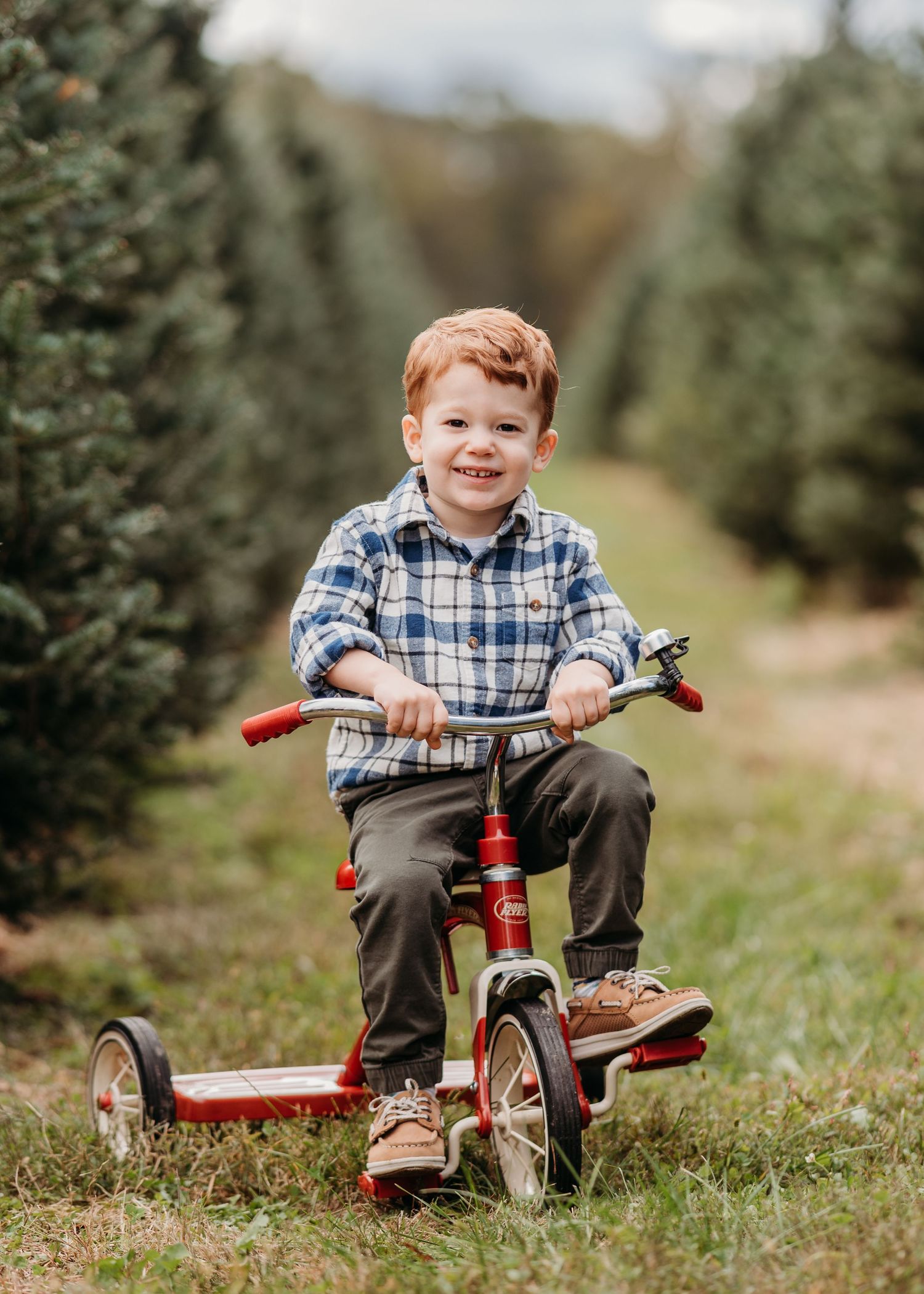 Child rides a red tricycle on a grassy path between evergreen trees on a sunny day at the christmas tree farm in Mendham.