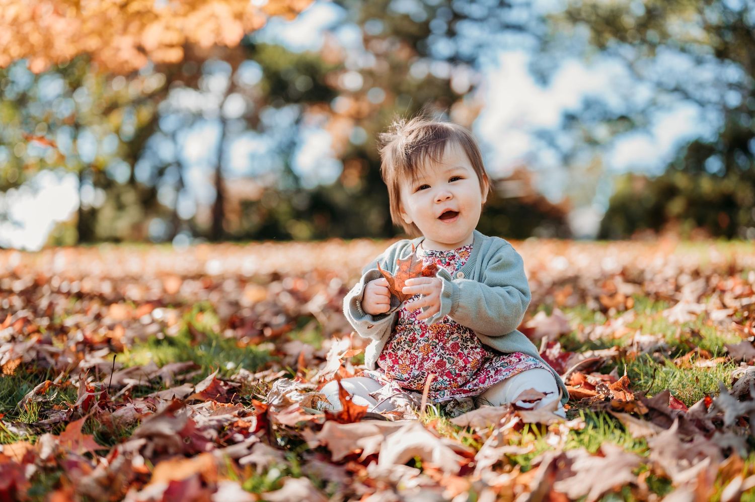 Toddler sits in a pile of colorful autumn leaves on a sunny fall day while wearing a floral dress and gray sweater in Montclair.