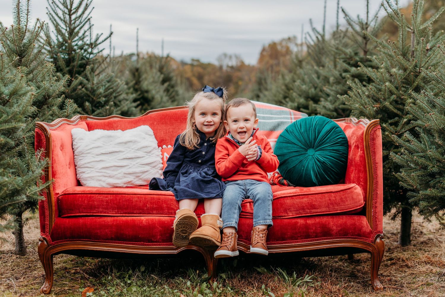 A red vintage couch sits among evergreen Christmas trees at a tree farm on an autumn day.