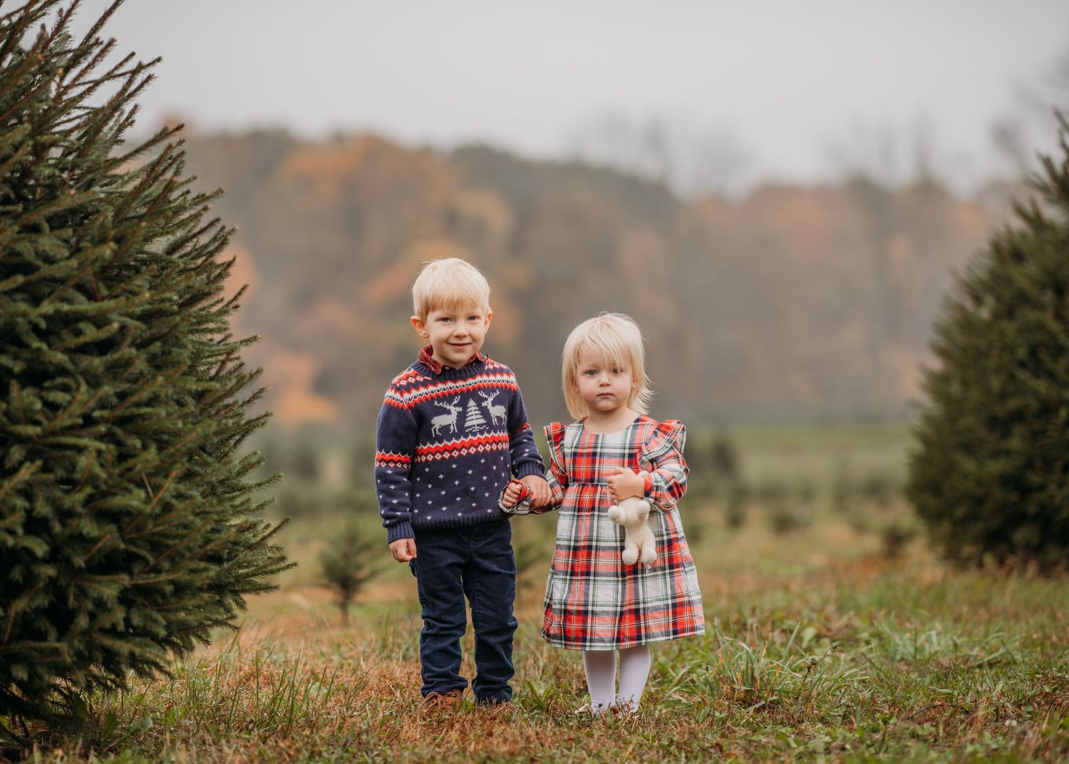 Two young children stand together among evergreen trees at a Christmas tree farm during autumn.
