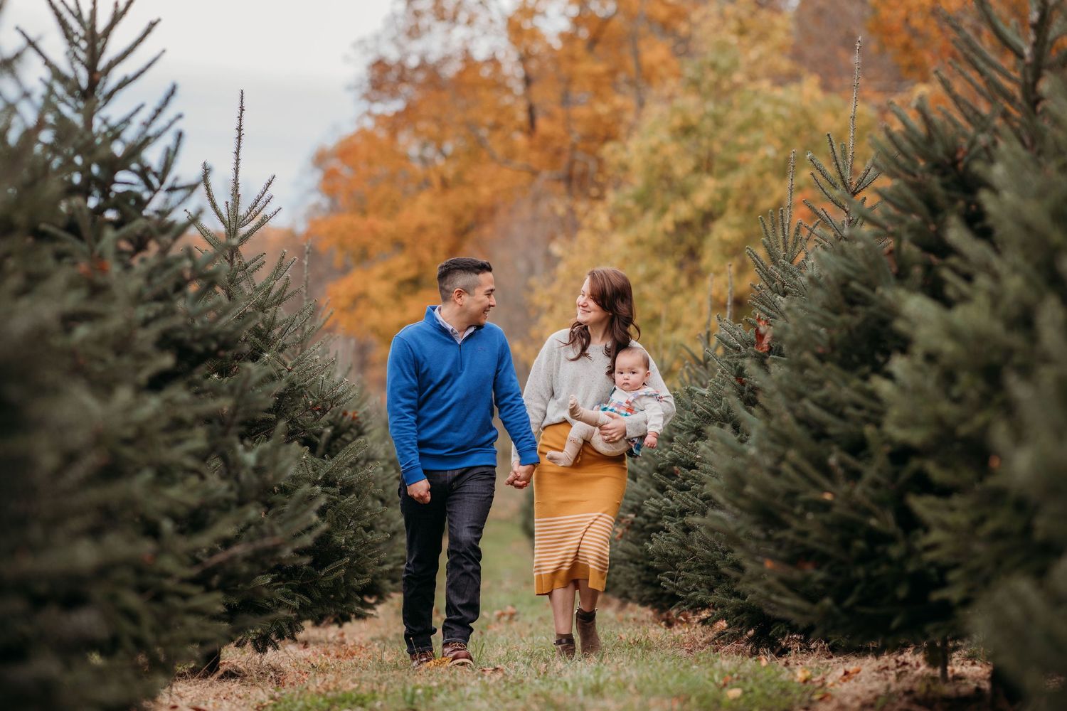 A couple walks together through rows of evergreen trees at a Christmas tree farm on an autumn day.