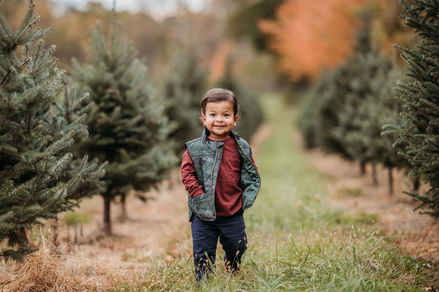 A small child wearing a plaid vest stands smiling among rows of evergreen trees at a Christmas tree farm.