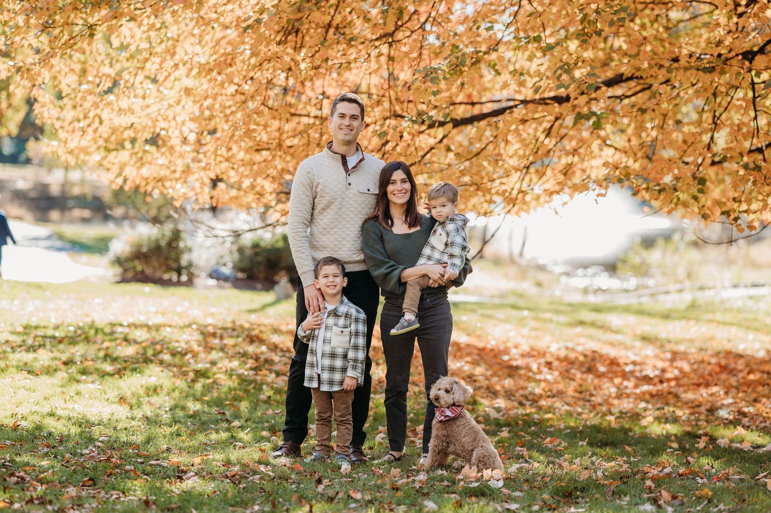 A family with their dog poses together in a picturesque autumn setting with golden leaves overhead.