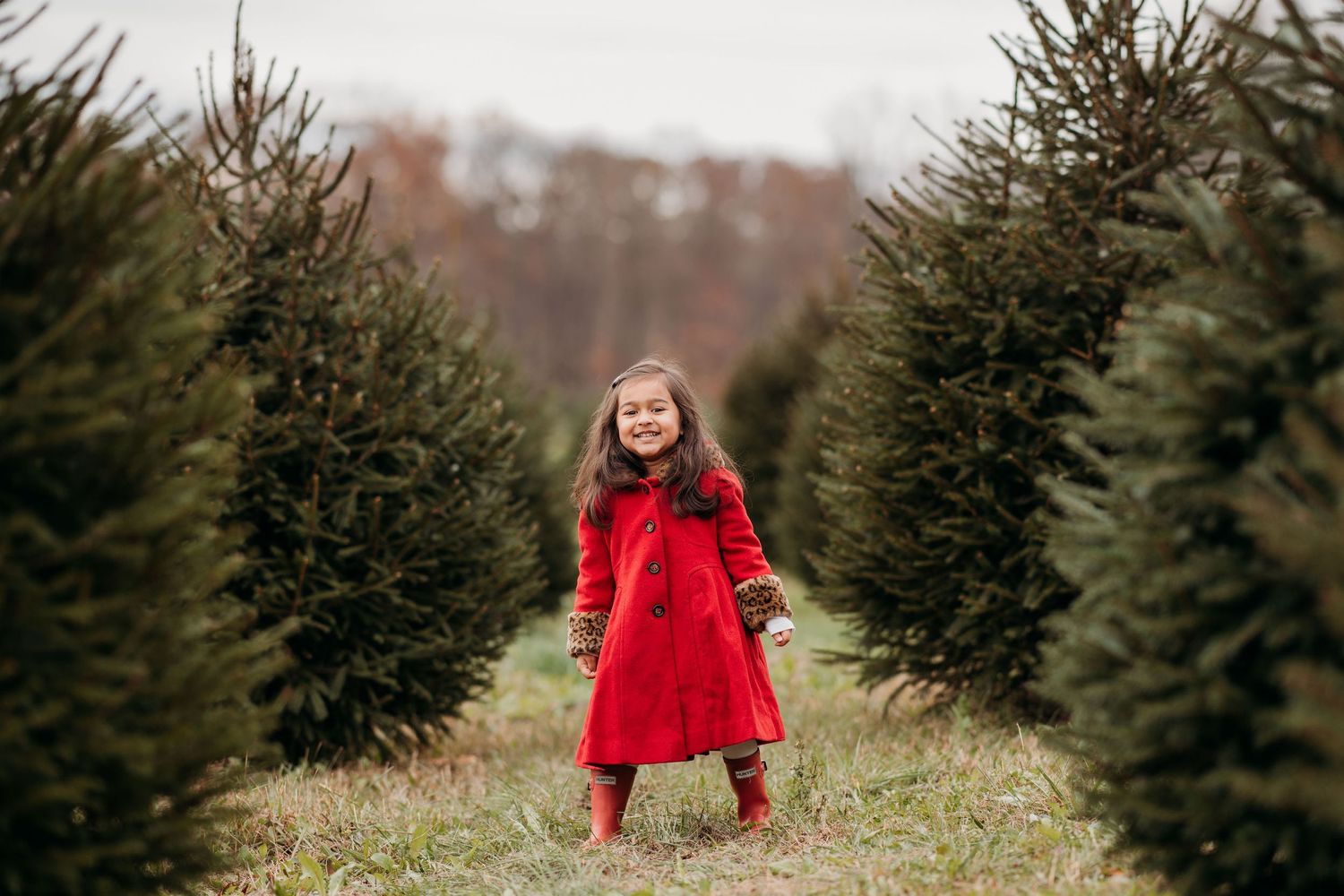 A joyful figure in a bright red coat stands between evergreen trees at a Christmas tree farm on a winter day at Hidden Pond Tree Farm.