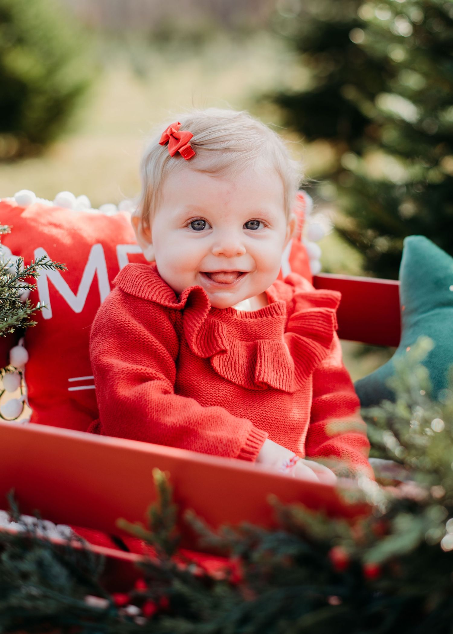 Baby wearing red sweater sits in red wagon outdoors among greenery and seasonal decorations.