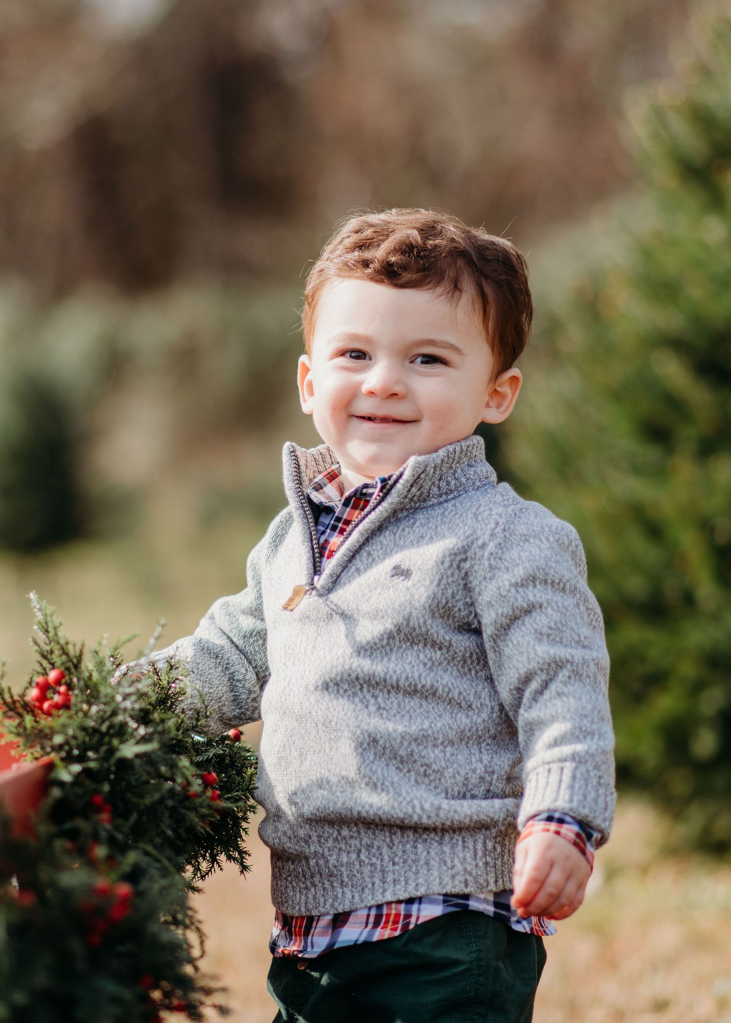 Young child in gray pullover sweater and plaid shirt poses outdoors near holly berries in a natural setting.