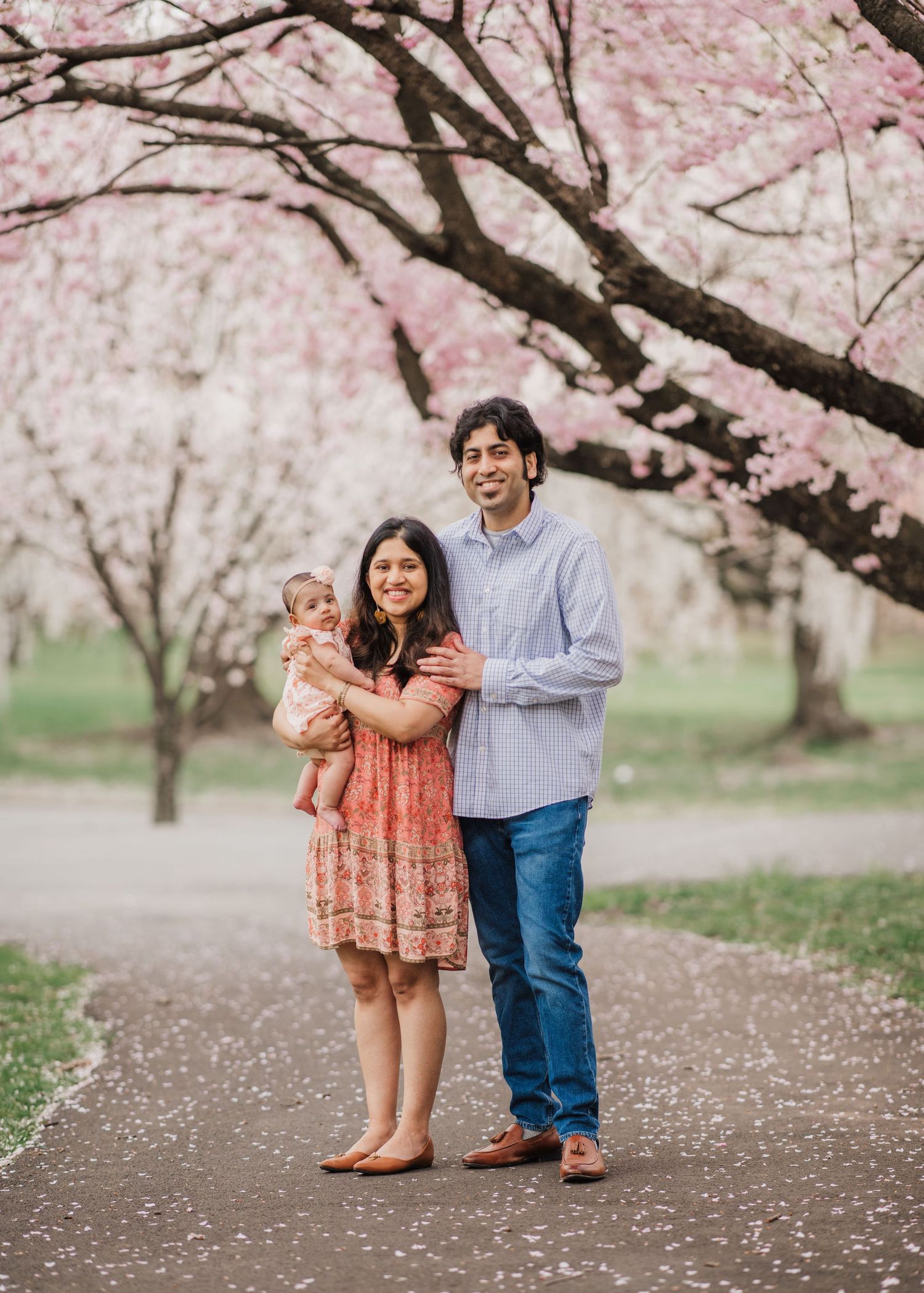 A family enjoys a spring day under blooming cherry blossom trees in a park setting at Branch Brook Park.