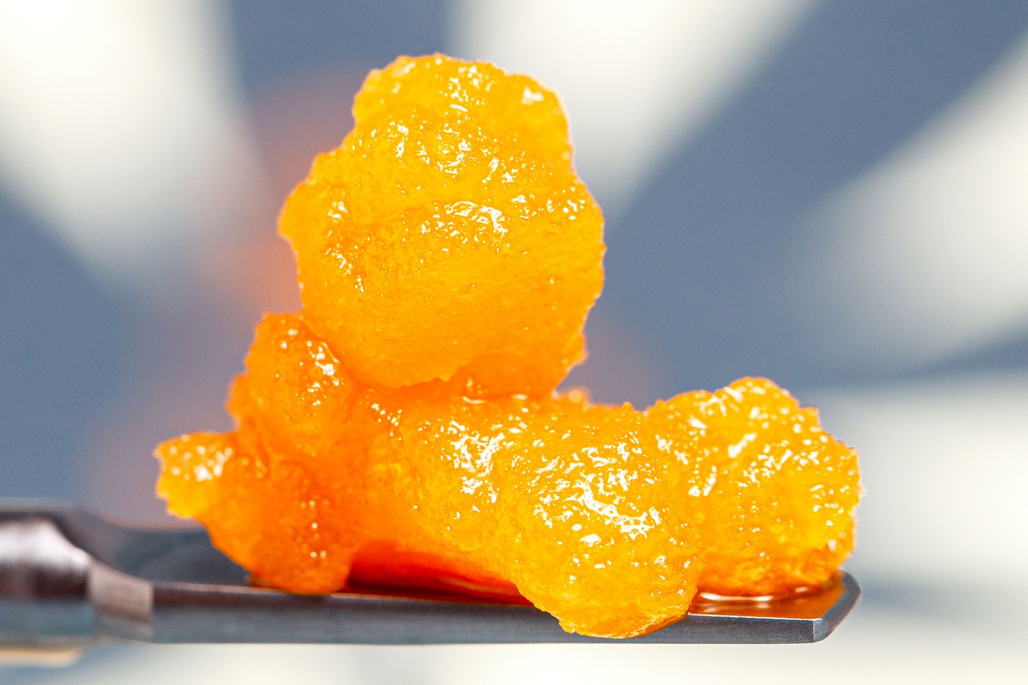 Salty Cultivation x Oasis Refinery Dosidos Live Resin