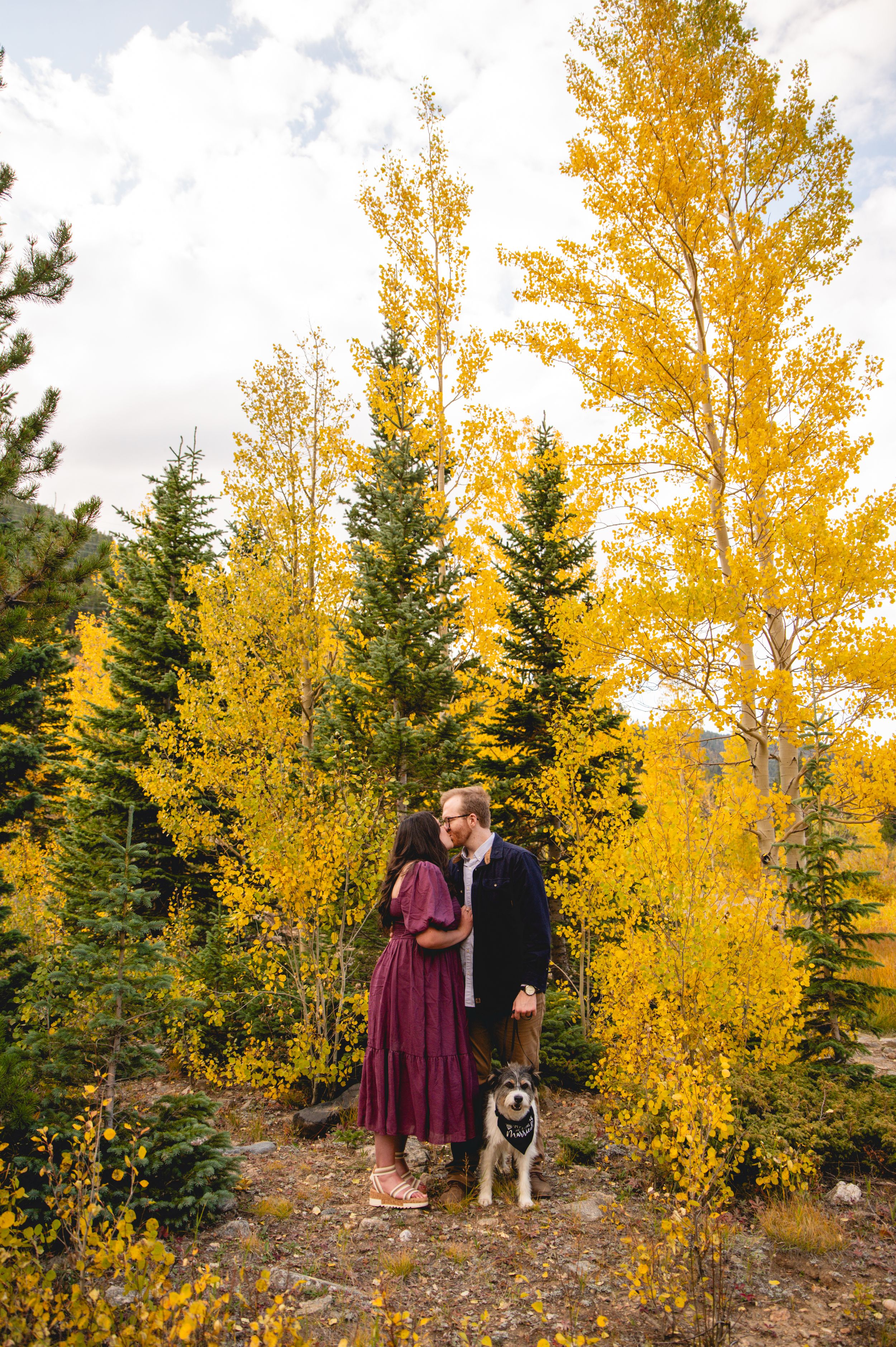 Couple with dog in golden aspen trees for photos