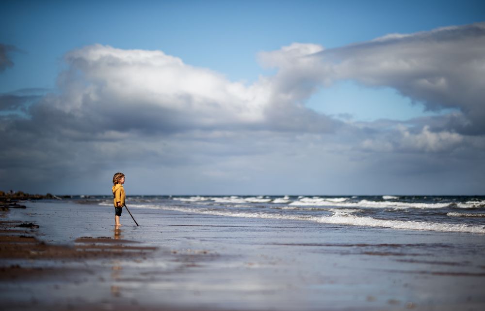 little boy at the edge of the water in yellow cardigan, holding a stick looking out to sea