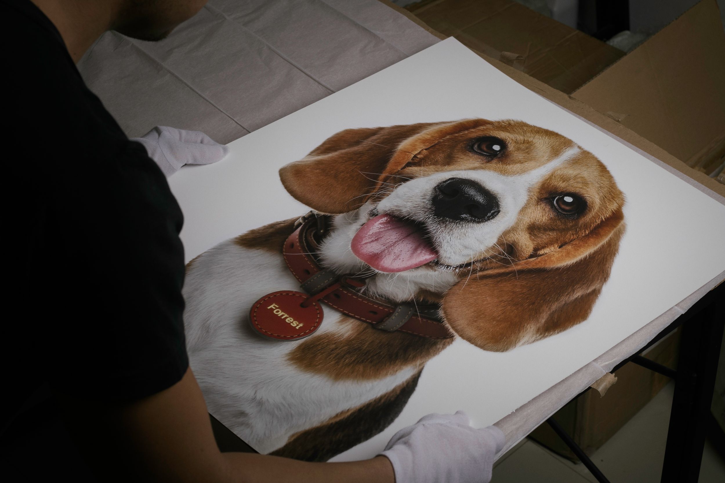 Giclée Fine Art Printing Pet Visuals Dog Photographer Manila