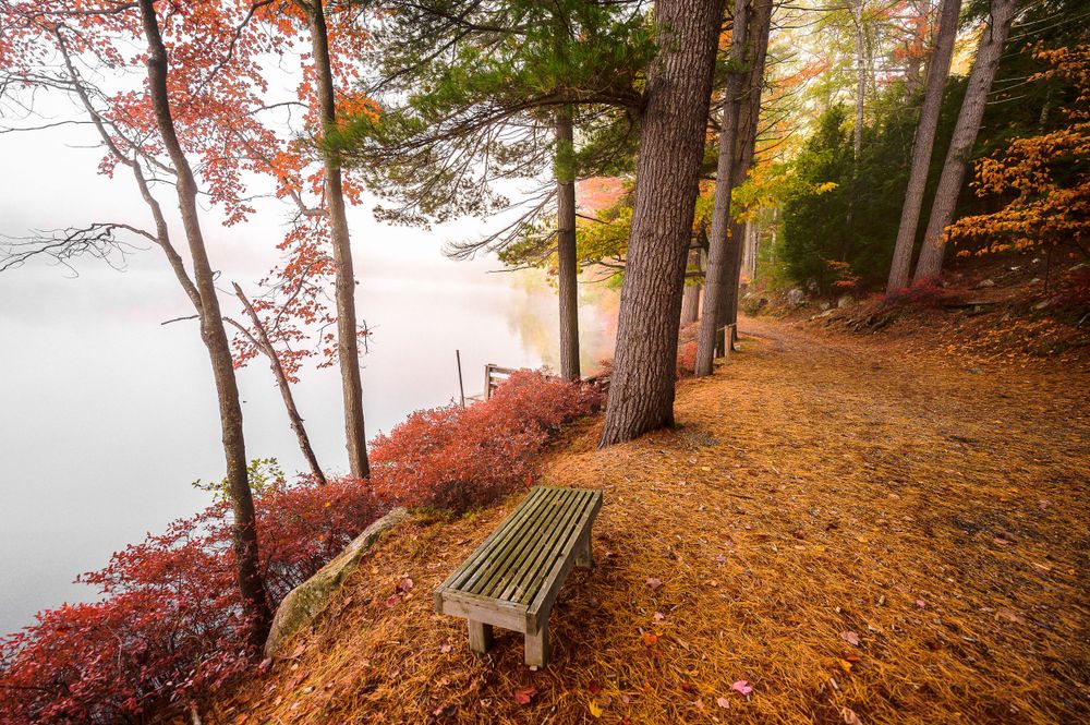 Adirondack Wedding