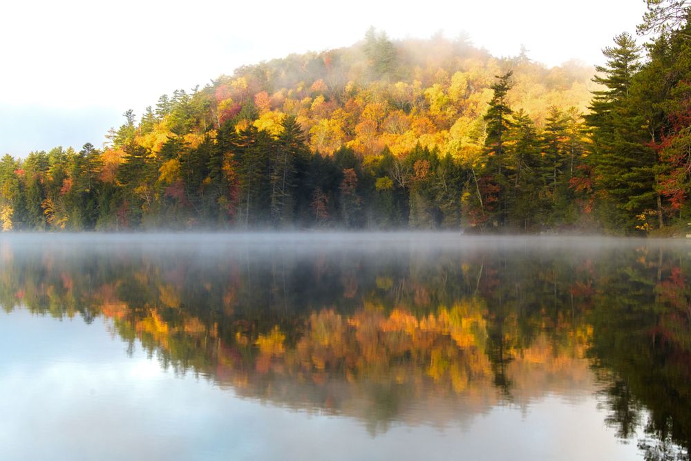 Adirondack Wedding