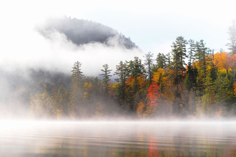 Adirondack Wedding