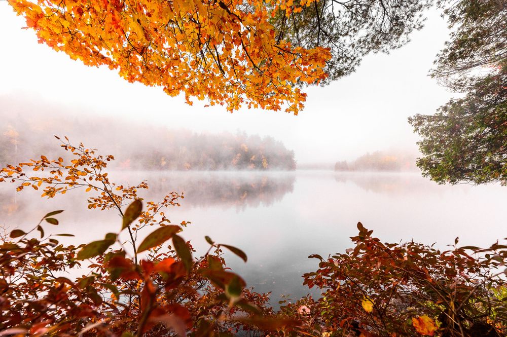 Adirondack Wedding