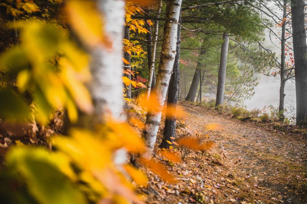 Adirondack Wedding