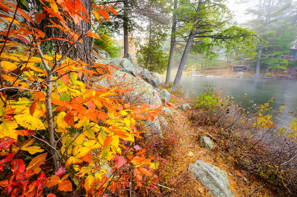 Adirondack Wedding