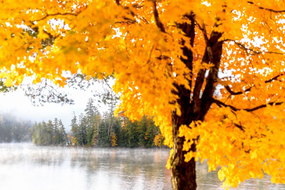 Adirondack Wedding