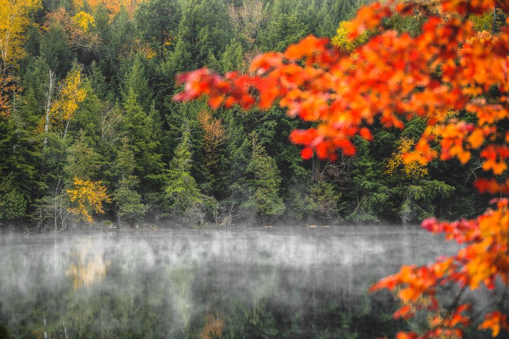 Adirondack Wedding