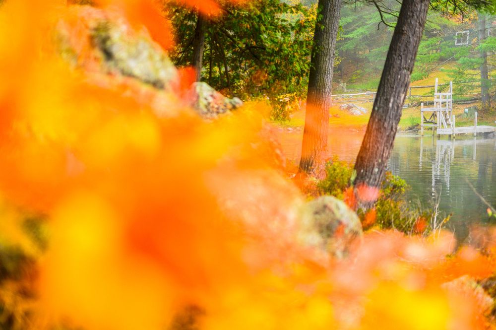 Adirondack Wedding