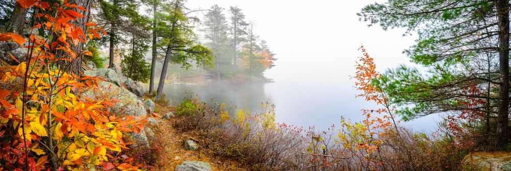 Adirondack Wedding