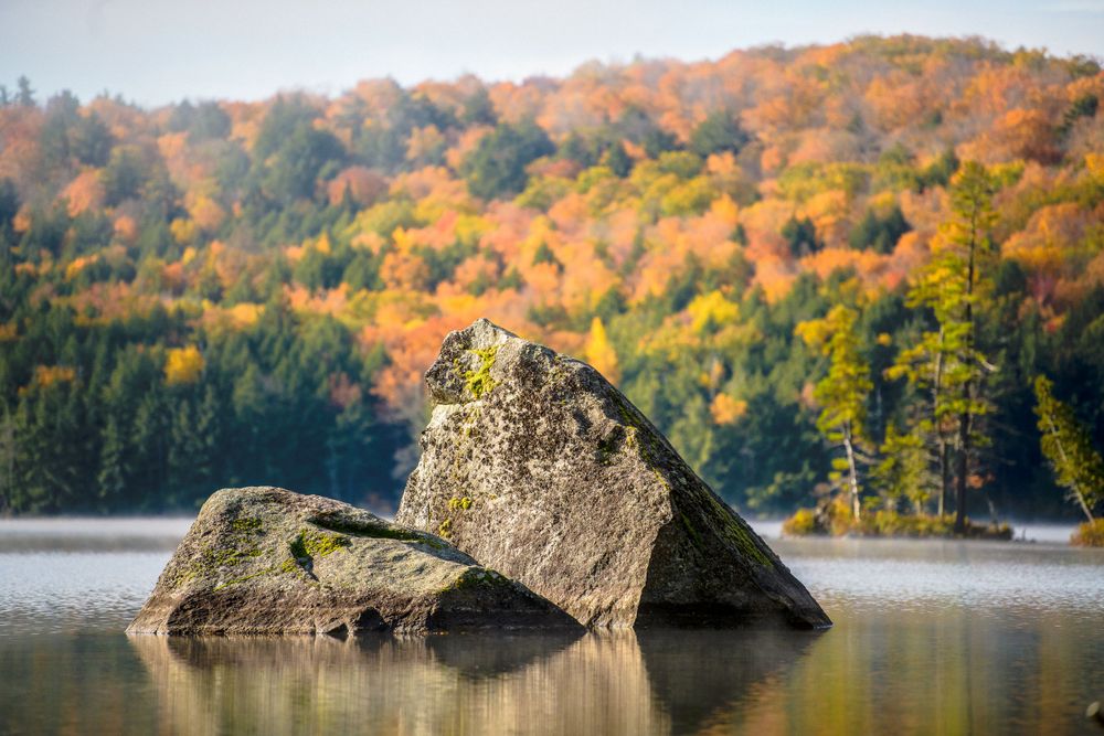Adirondack Wedding