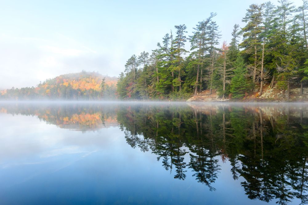 Adirondack Wedding