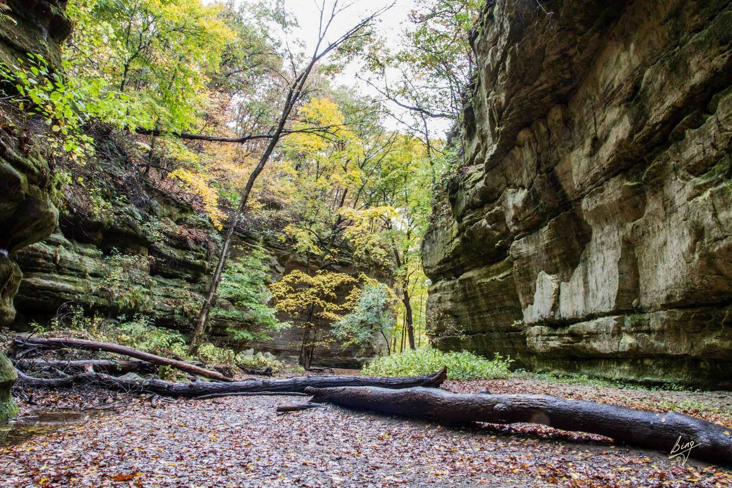Starved Rock State Park