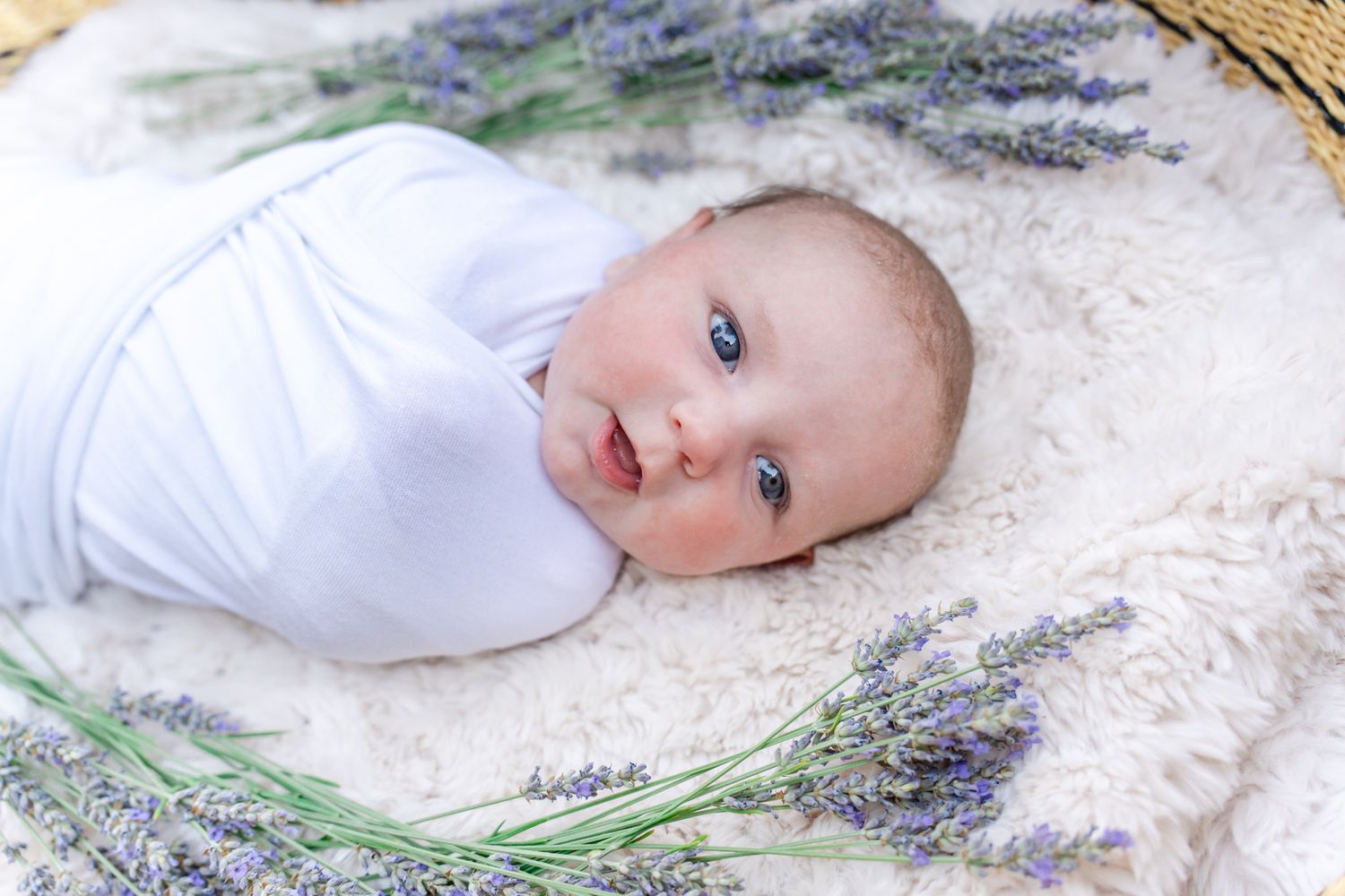 Baby girl by lavender in a basket