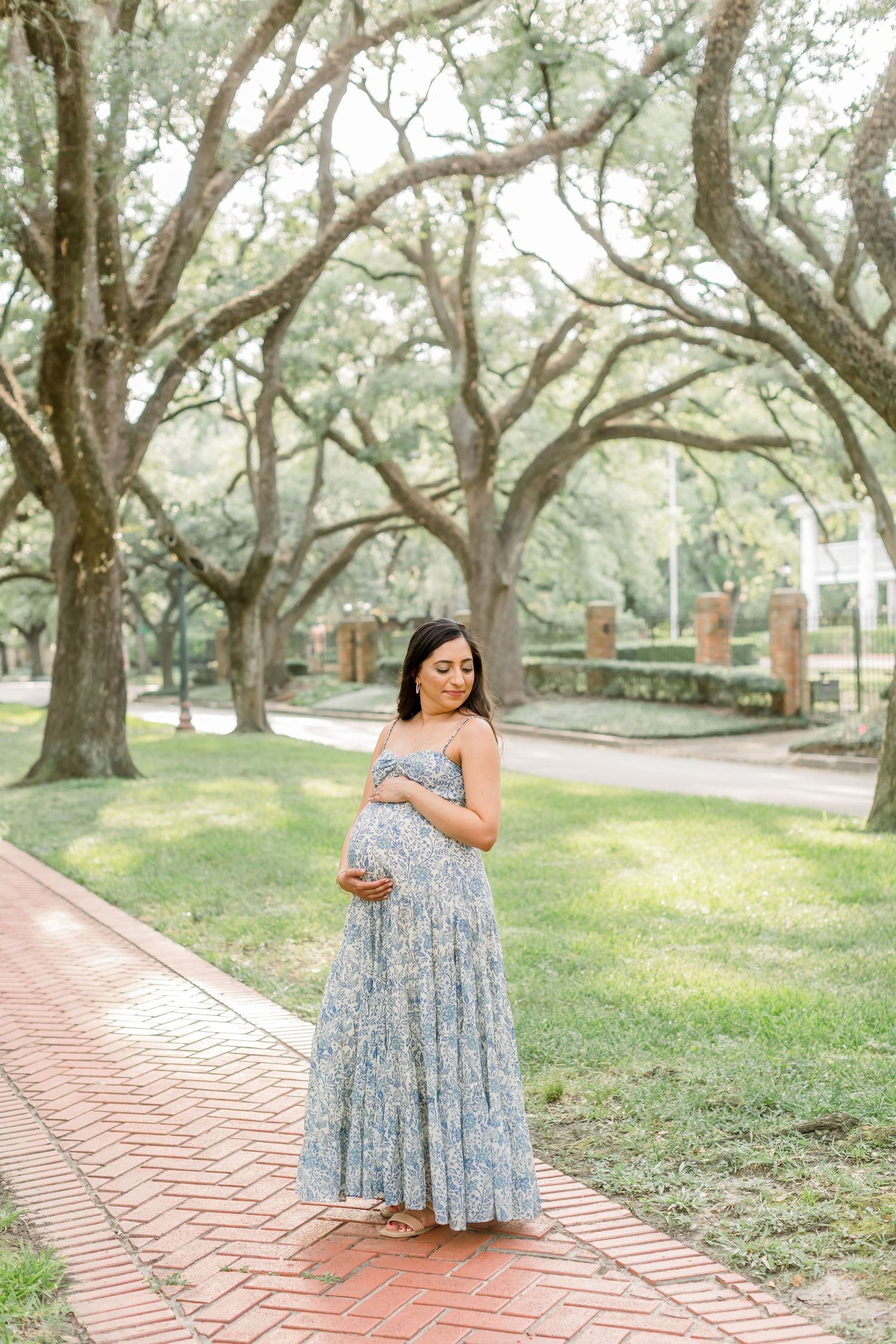 Maternity portrait taken on red brick path with majestic oak trees providing natural backdrop.