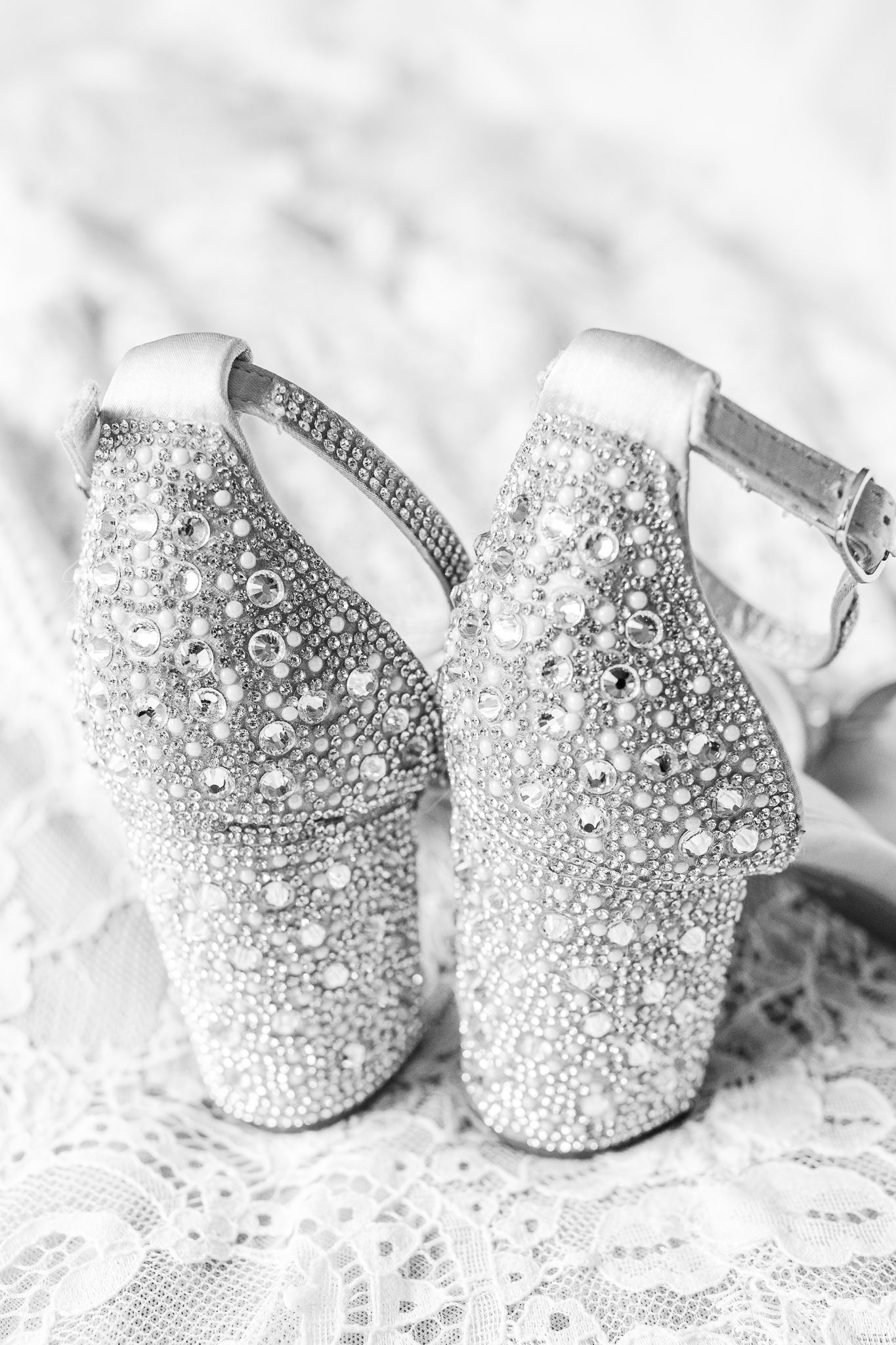 WASHINGTON DC WEDDING PICTURES