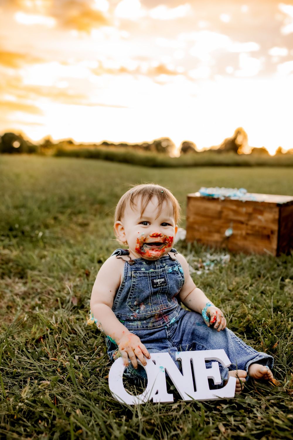 First birthday milestone photos in Maiden NC with cake smash