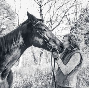 A black horse and companion share an intimate moment in a winter forest setting.
