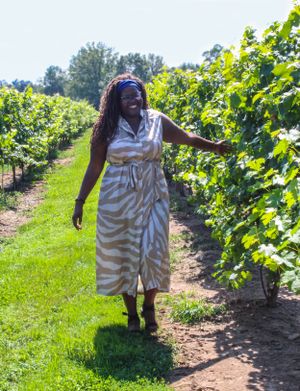 Person in a striped dress walks through sunny vineyard rows on a bright summer day.