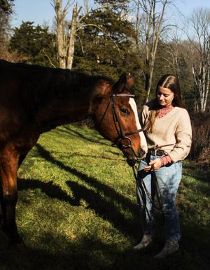 Person in beige sweater holding reins of brown horse in sunlit field.