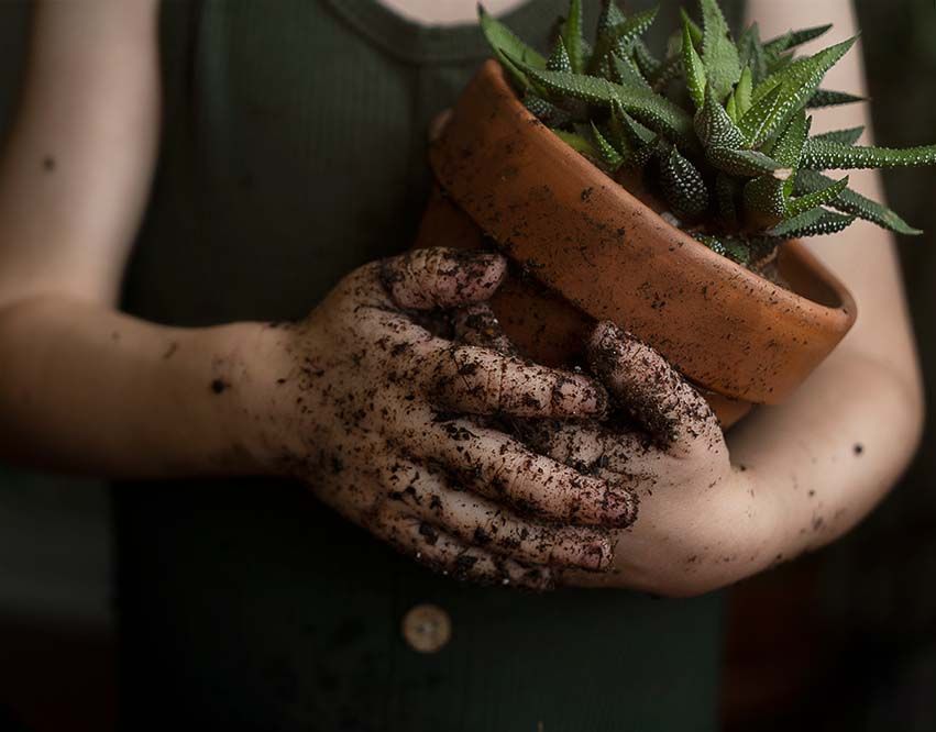 boy with dirt covered hands holds clay pot with houseplant