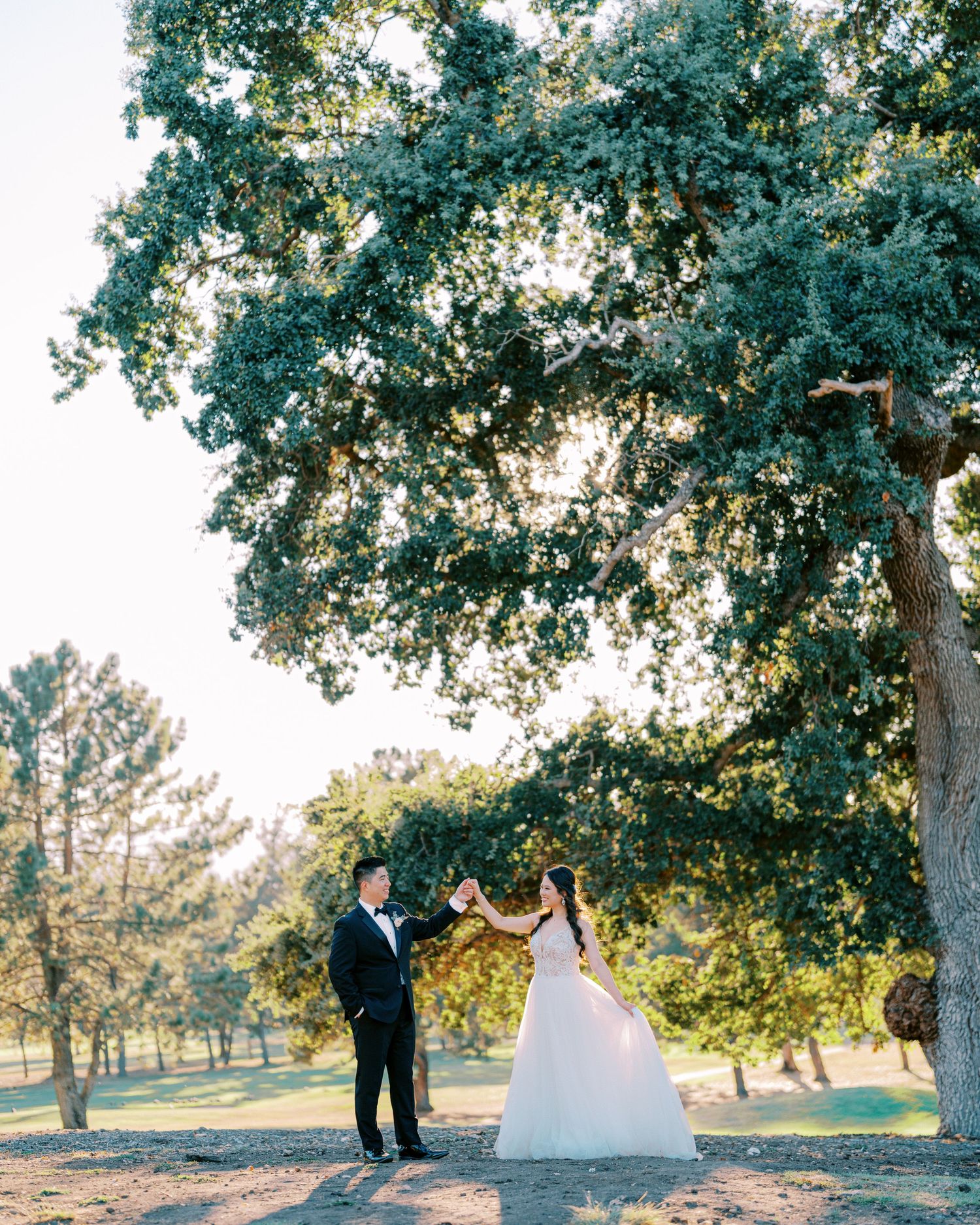 A couple dances beneath towering oak trees during golden hour on their wedding day.