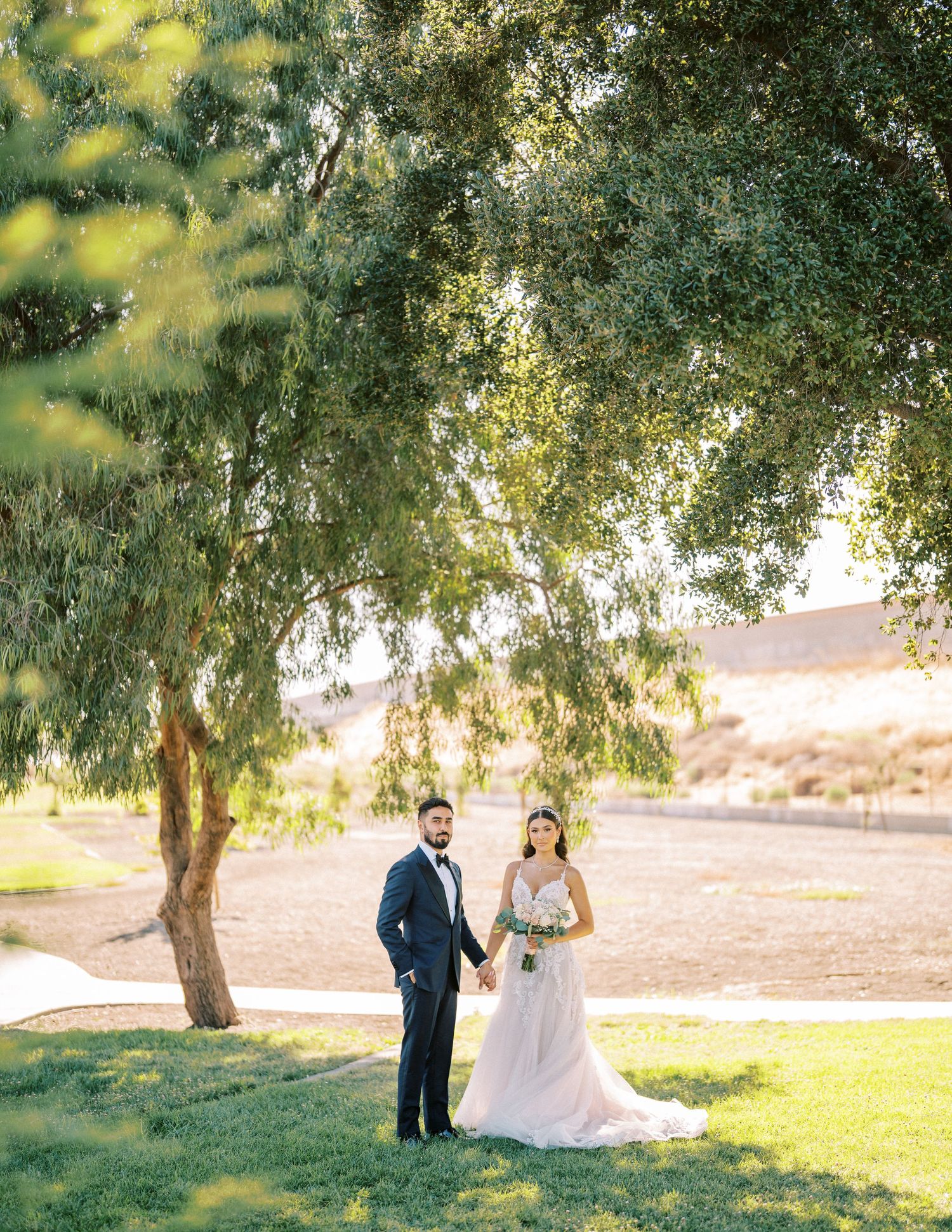A wedding portrait beneath a sprawling tree on a scenic grassy hillside.