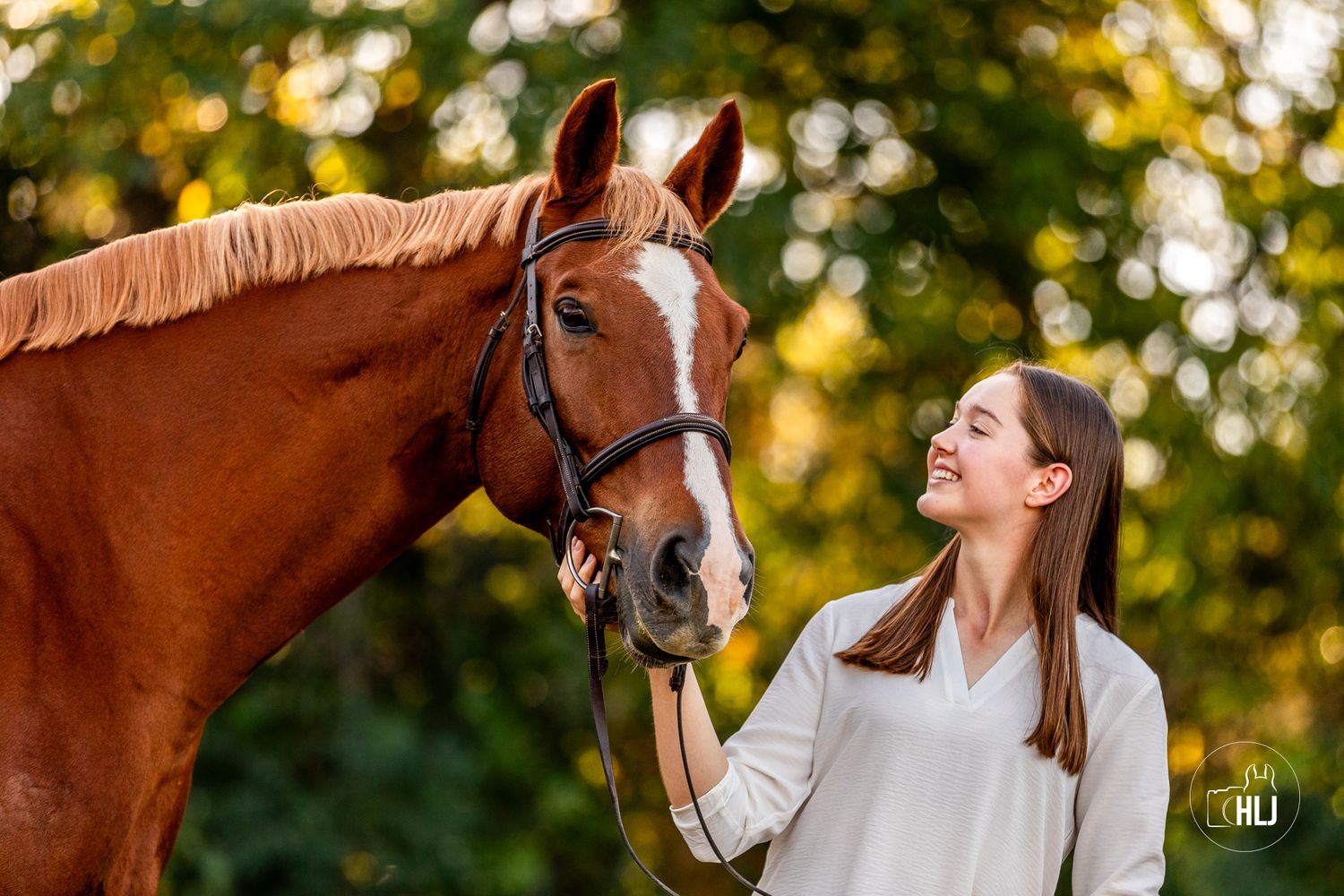 Chestnut horse with white blaze wearing bridle poses in front of autumn foliage.