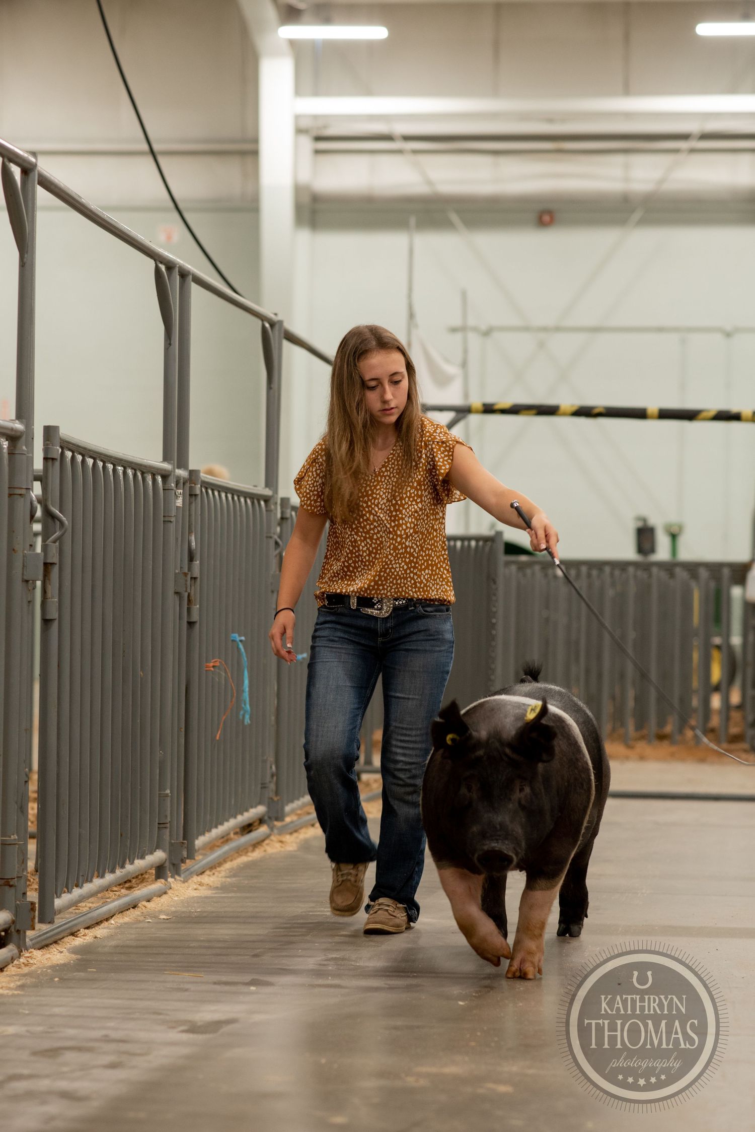 Person in leopard print top guides black show pig down barn hallway with metal gates.
