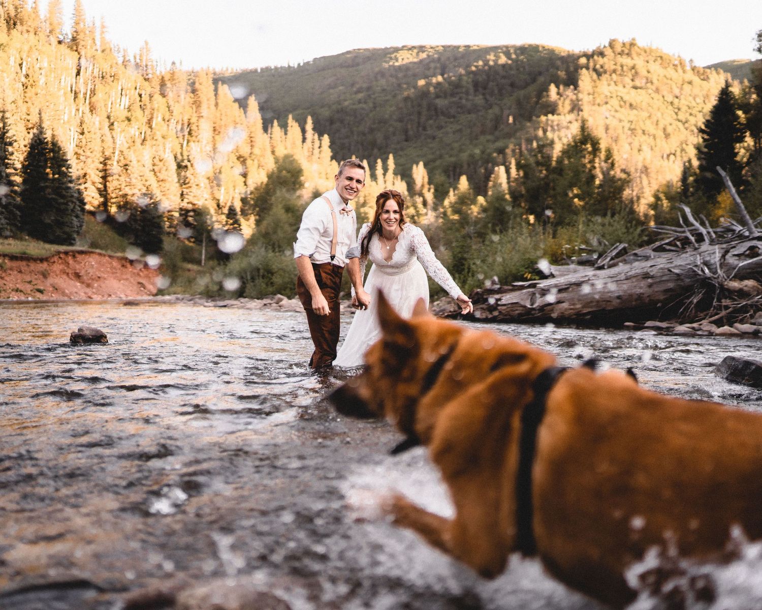 mountain elopement dogs jumping in river in wedding dress Dolores colorado