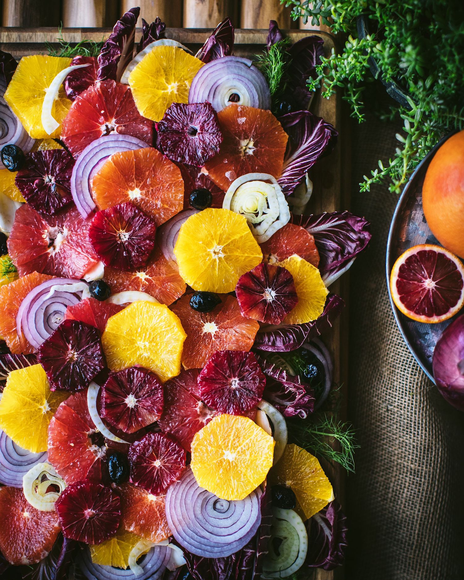 Overhead view of vibrant citrus salad with blood oranges, grapefruit, red onion, and radicchio.
