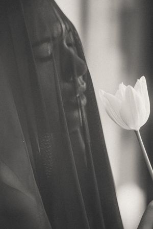 Artistic black and white composition featuring a delicate white tulip against dark fabric.