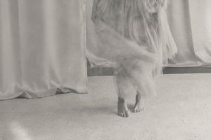 Ethereal movement sequence with flowing white fabric in soft light.