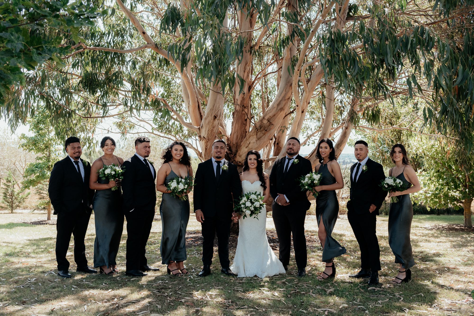 August and Vine wedding photography of wedding party under gum tree at olivio~nor Martinborough