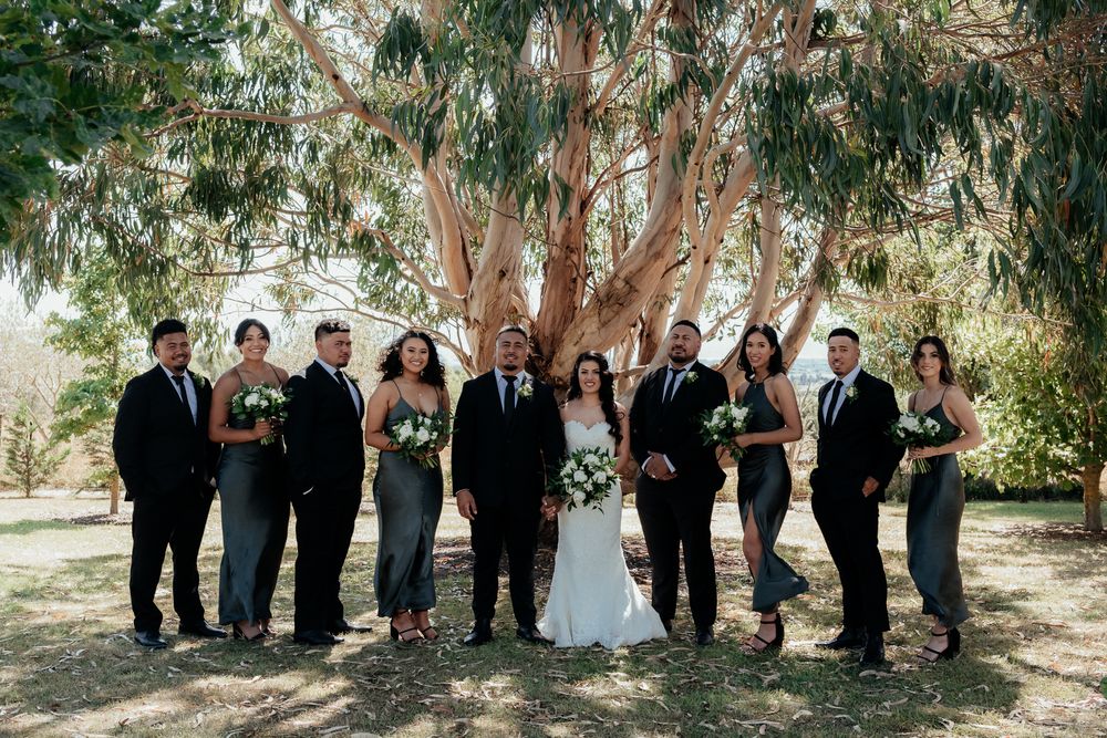 August and Vine wedding photography of wedding party under gum tree at olivio~nor Martinborough
