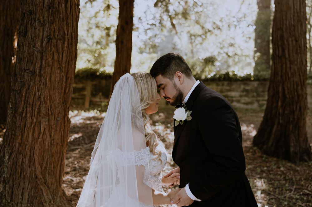Intimate wedding moment between newlyweds among tall trees in a forest setting.