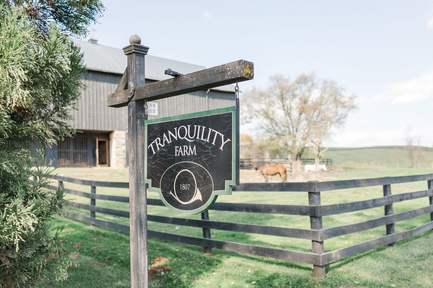 TRANQUILITY FARM NORTHERN VIRGINIA WEDDING PICTURES