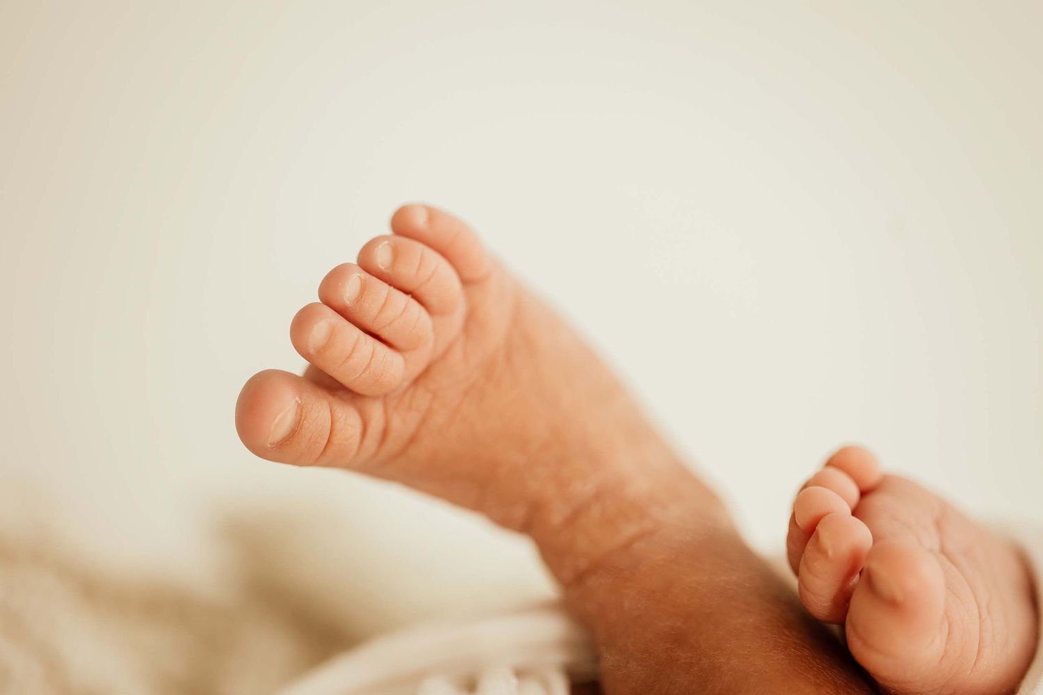 Close-up of tiny newborn baby feet resting on a soft white blanket.